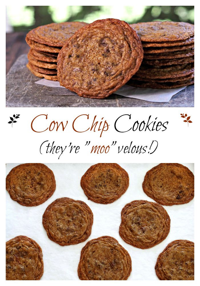 Cow Chip Cookies. These chewy, buttery, chocolatey cookies w/crispy edges will become a family-favorite chocolate chip cookie. I dare you to eat just one. Simply Sated